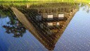 128x72-local_field.jpg