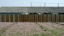 128x72-vetch.jpg