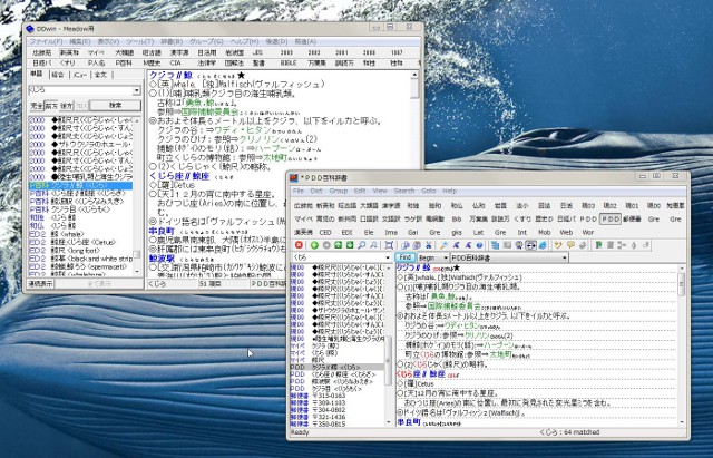 DDwin と EBWin。