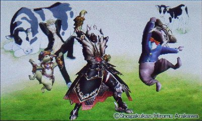 mh4_007.JPG