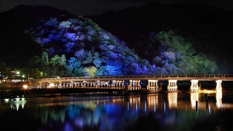 night_japanese_bridge.jpg